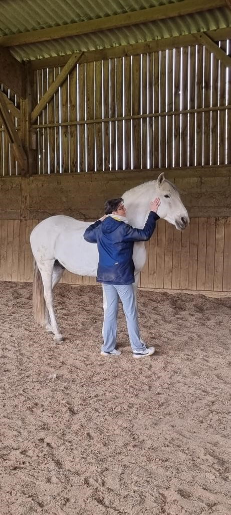 Le Coaching Par Le Cheval - Marie-Thérèse LAMY